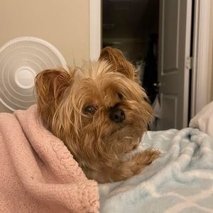 Meet your Posher, Mary bell